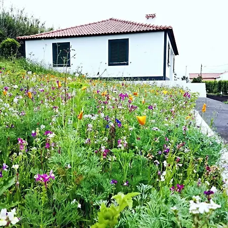 Santa Barbara Holiday * Horta (Azores)